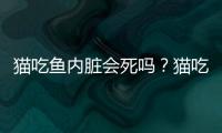 貓吃魚內臟會死嗎？貓吃魚內臟有什么危害