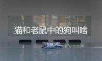 貓和老鼠中的狗叫啥