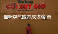 貓咪煤氣罐養成攻略(奇妙貓咪養成記)