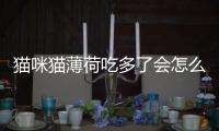 貓咪貓薄荷吃多了會怎么樣(貓咪貓薄荷吃多了)
