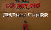 貓咪貓蘚什么癥狀算慢慢變好(貓咪貓蘚用什么藥最有效)