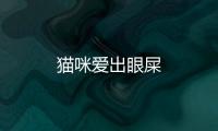 貓咪愛出眼屎