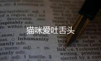 貓咪愛吐舌頭