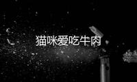 貓咪愛吃牛肉