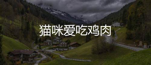 貓咪愛吃雞肉