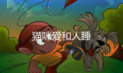 貓咪愛和人睡