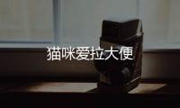 貓咪愛拉大便