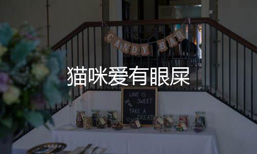 貓咪愛有眼屎