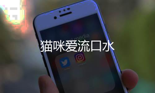 貓咪愛流口水