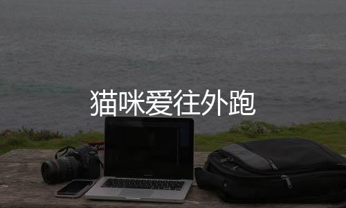 貓咪愛往外跑