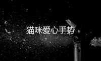 貓咪愛心手勢
