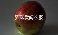 貓咪愛聞衣服