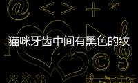 貓咪牙齒中間有黑色的紋路  貓咪牙齒中間有黑色的點