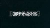 貓咪牙齒外露