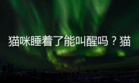 貓咪睡著了能叫醒嗎？貓咪睡覺時可以叫醒嗎