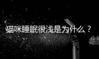 貓咪睡眠很淺是為什么？貓咪睡眠淺和深