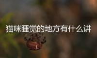 貓咪睡覺的地方有什么講究(貓咪睡覺打呼嚕代表什么)