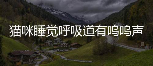 貓咪睡覺呼吸道有嗚嗚聲正常嗎？貓睡覺呼吸有聲音