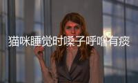 貓咪睡覺時嗓子呼嚕有痰的感覺(貓咪睡覺嗓子一動一動的)