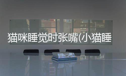貓咪睡覺時張嘴(小貓睡覺張嘴很痛苦的樣子)