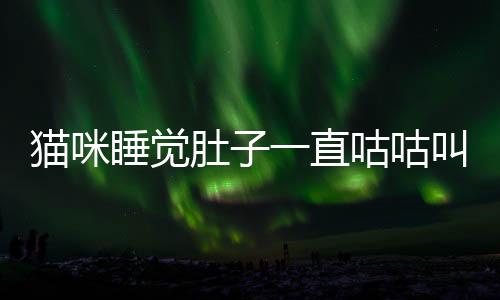 貓咪睡覺(jué)肚子一直咕咕叫(貓咪睡覺(jué)的時(shí)候肚子一直咕咕叫)