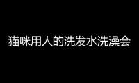 貓咪用人的洗發水洗澡會怎樣(貓咪用人的洗發水會怎么樣)