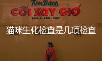 貓咪生化檢查是幾項檢查？貓咪生化全套檢查項目