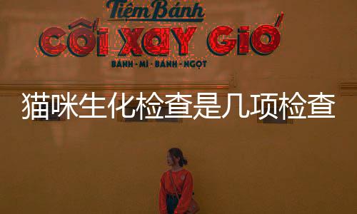貓咪生化檢查是幾項檢查？貓咪生化全套檢查項目