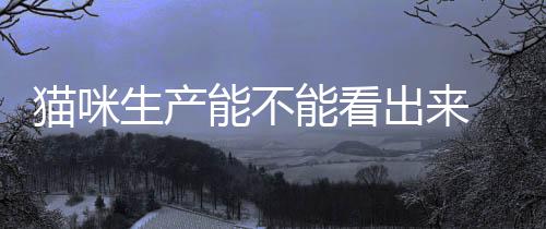 貓咪生產(chǎn)能不能看出來  貓咪生產(chǎn)能不能看出來懷孕