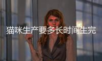 貓咪生產要多長時間生完