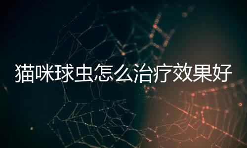 貓咪球蟲怎么治療效果好(貓咪球蟲治療大概多少錢)