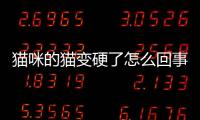 貓咪的貓變硬了怎么回事？貓咪的貓變硬了正常嗎