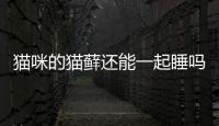 貓咪的貓蘚還能一起睡嗎