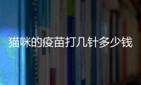 貓咪的疫苗打幾針多少錢？貓咪疫苗打幾針可以絕育