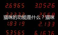 貓咪的功能是什么？貓咪的功能資料