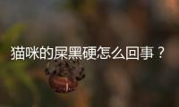 貓咪的屎黑硬怎么回事？貓咪的屎黑硬硬的