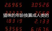 貓咪的年齡換算成人類的年齡(貓咪的年齡換算表)