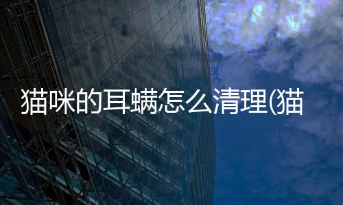 貓咪的耳螨怎么清理(貓咪得耳螨的癥狀是什么)
