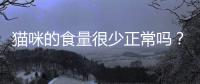 貓咪的食量很少正常嗎？貓貓食量比較少