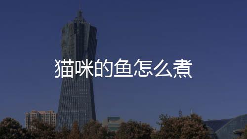 貓咪的魚怎么煮