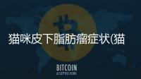 貓咪皮下脂肪瘤癥狀(貓咪皮下脂肪瘤切除多少錢)