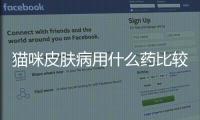貓咪皮膚病用什么藥比較好(貓咪皮膚病反反復復總不好怎么辦)