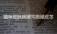 貓咪皮膚病掉完痂褪皮怎么辦？貓咪皮膚結(jié)痂掉皮屑