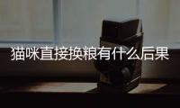 貓咪直接換糧有什么后果(貓咪直接換糧會不會影響什么)