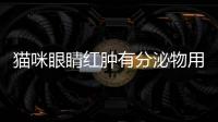 貓咪眼睛紅腫有分泌物用什么藥(貓咪眼睛睜不開有膿性分泌物)