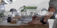 貓咪眼睛像蒙了一層膜什么原因(貓咪眼睛有層膜怎么辦)