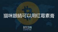 貓咪眼睛可以用紅霉素膏嗎圖片？貓咪眼睛可以擦紅霉素嗎