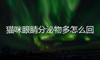 貓咪眼睛分泌物多怎么回事(貓咪眼睛有分泌物怎么回事)