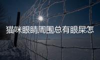 貓咪眼睛周圍總有眼屎怎么回事？貓咪眼睛周圍總有眼屎正常嗎