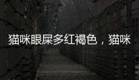貓咪眼屎多紅褐色，貓咪眼屎過多的原因有哪些以及處理方法